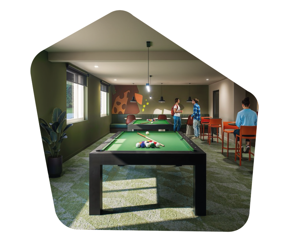 Espace commun : salle de billard